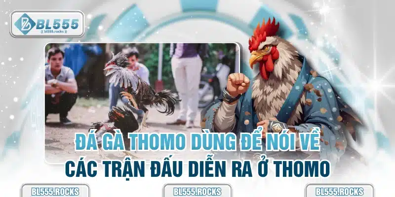 Đá gà Thomo dùng để nói về các trận đấu diễn ra ở Thomo