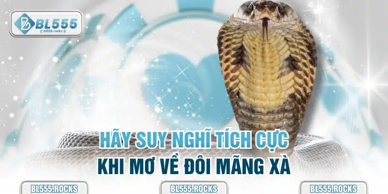 Hãy suy nghĩ tích cực kỳ mơ về đôi mãng xà