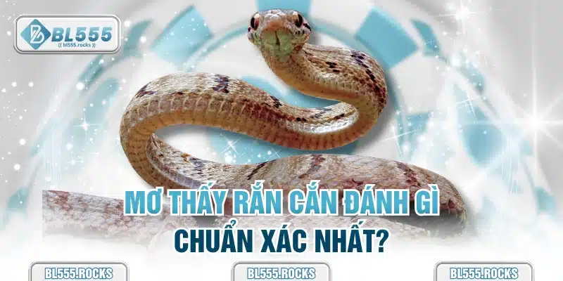 Mơ thấy rắn cắn đánh gì chuẩn xác nhất?