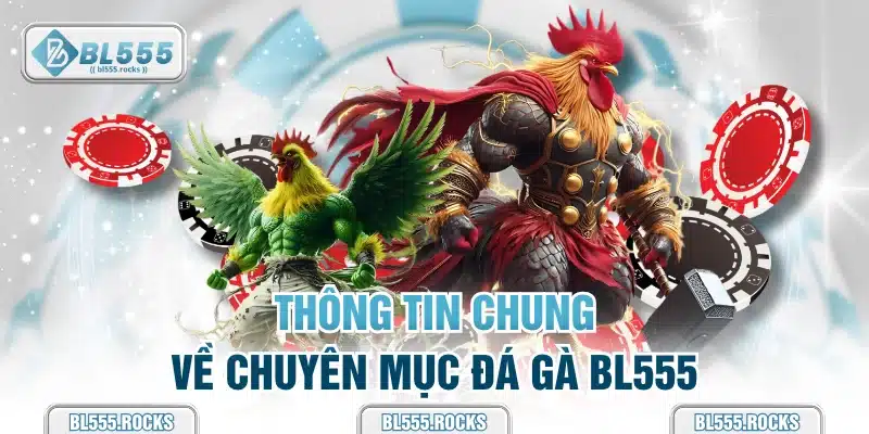 Thông tin chung về chuyên mục đá gà BL555